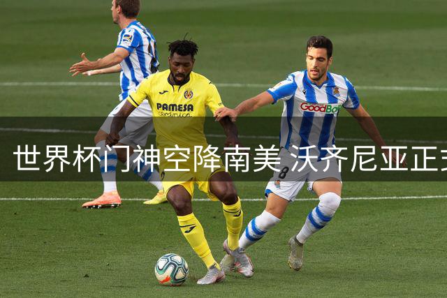 世界杯门神空降南美 沃齐尼亚正式转会科洛科洛