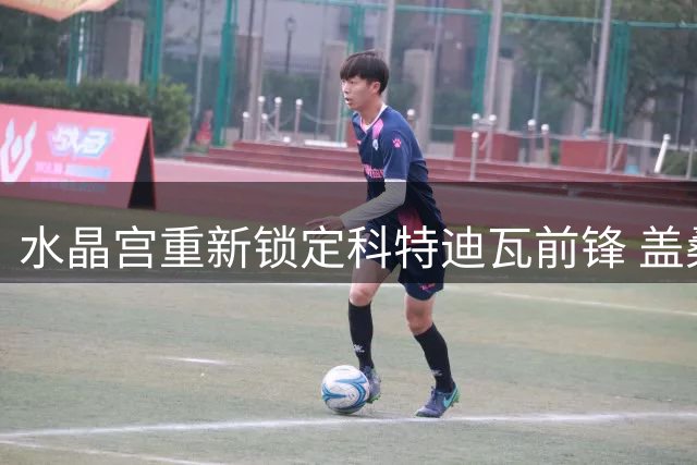 水晶宫重新锁定科特迪瓦前锋 盖桑德或成维拉转会策略重要棋子