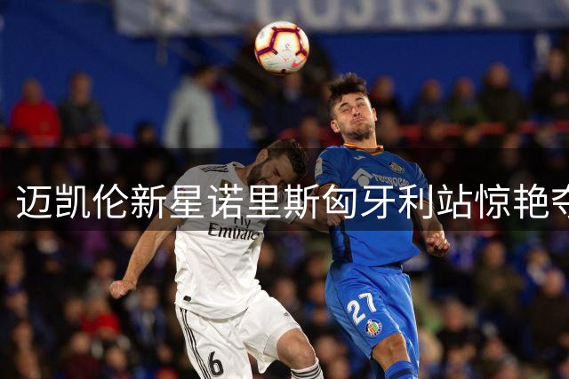迈凯伦新星诺里斯匈牙利站惊艳夺杆 汉密尔顿违规遭罚退